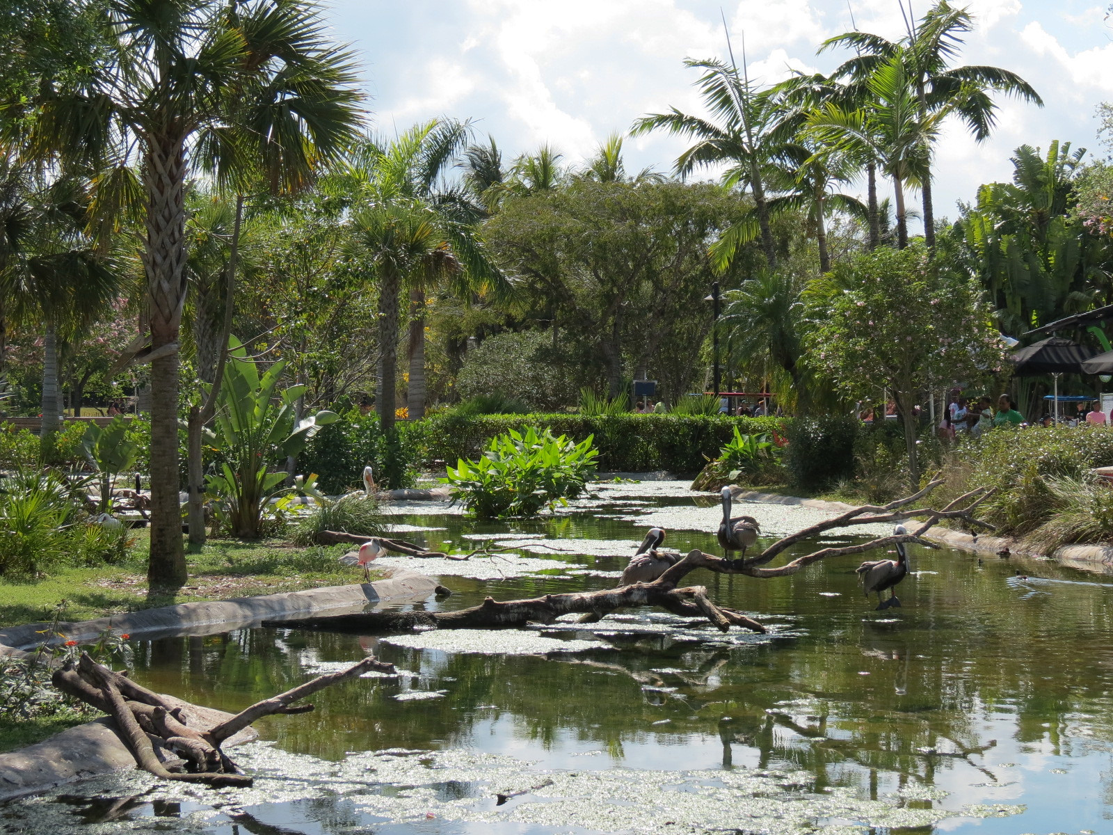 Florida: Mission Everglades - South Florida Wading Bird Exhibit