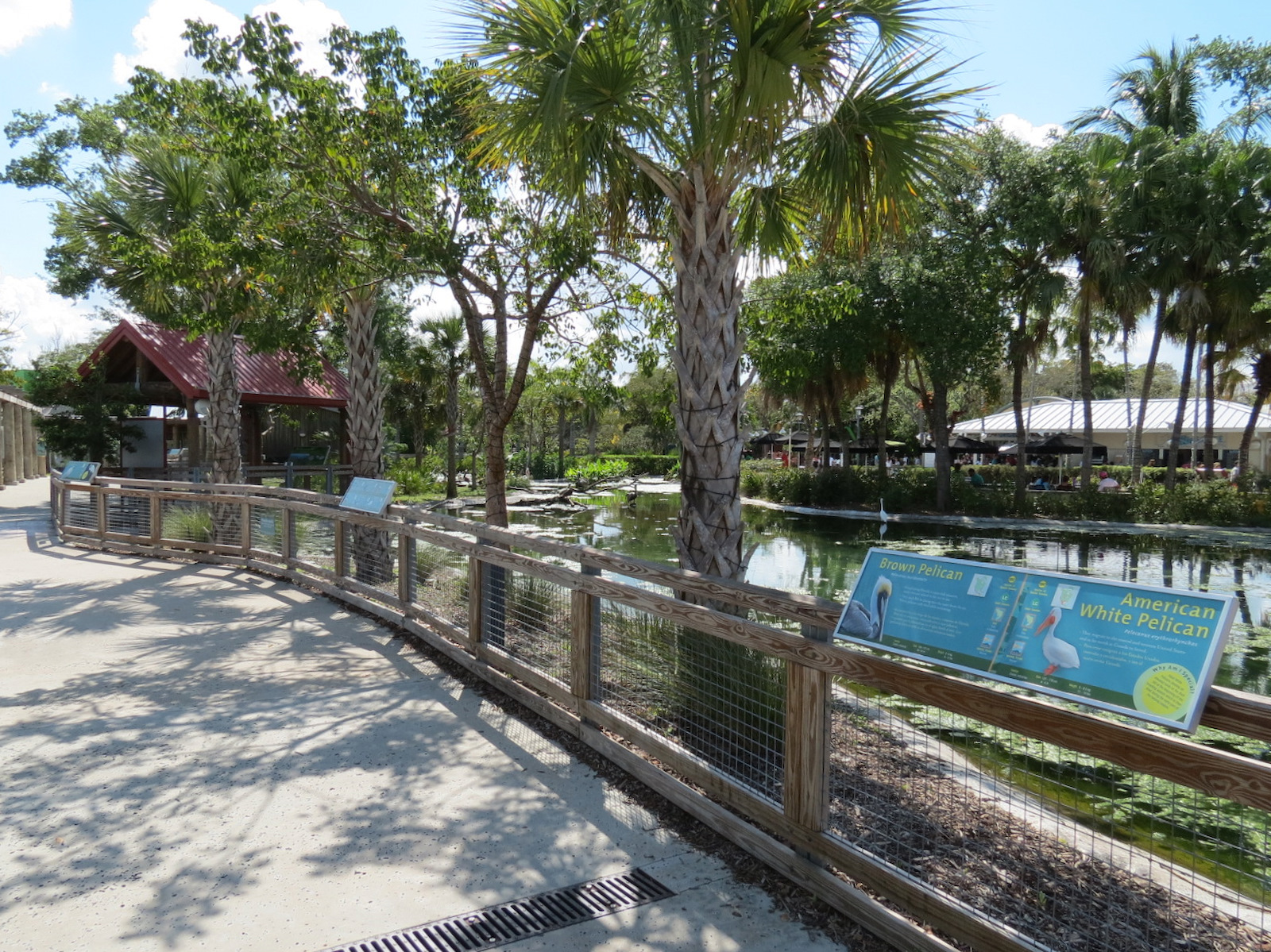 Florida: Mission Everglades - South Florida Wading Bird Exhibit