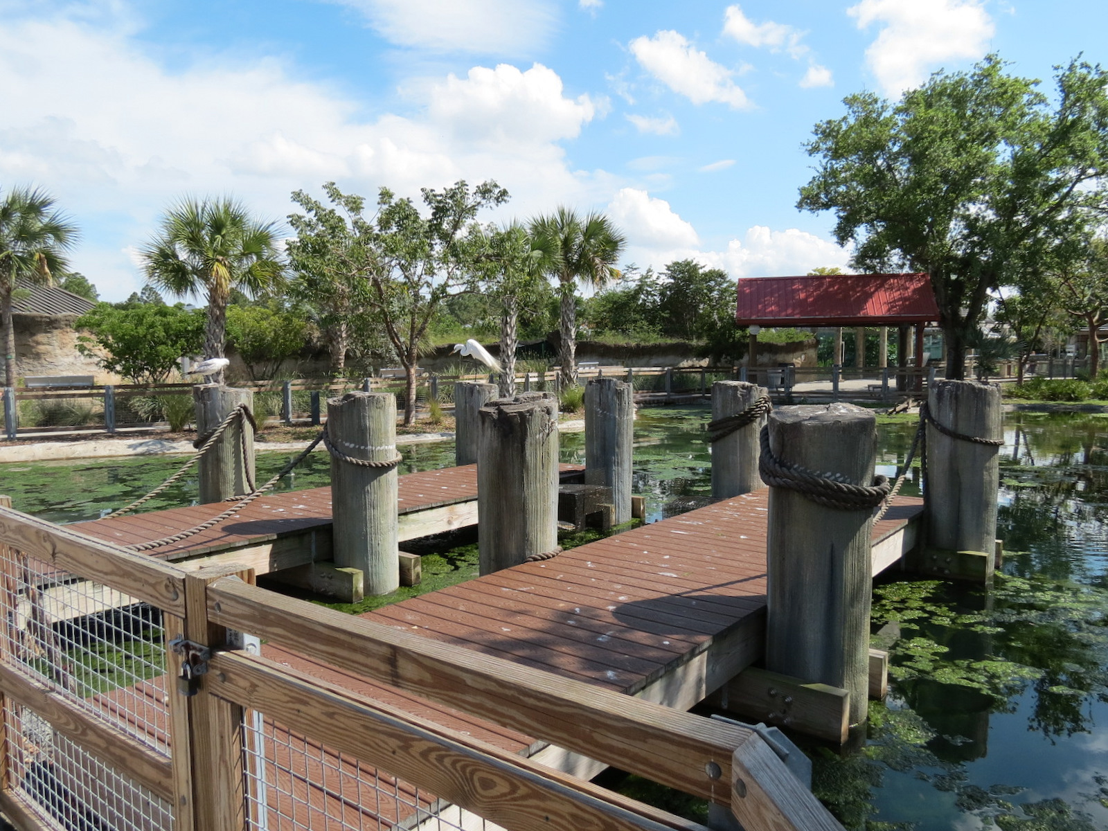 Florida: Mission Everglades - South Florida Wading Bird Exhibit