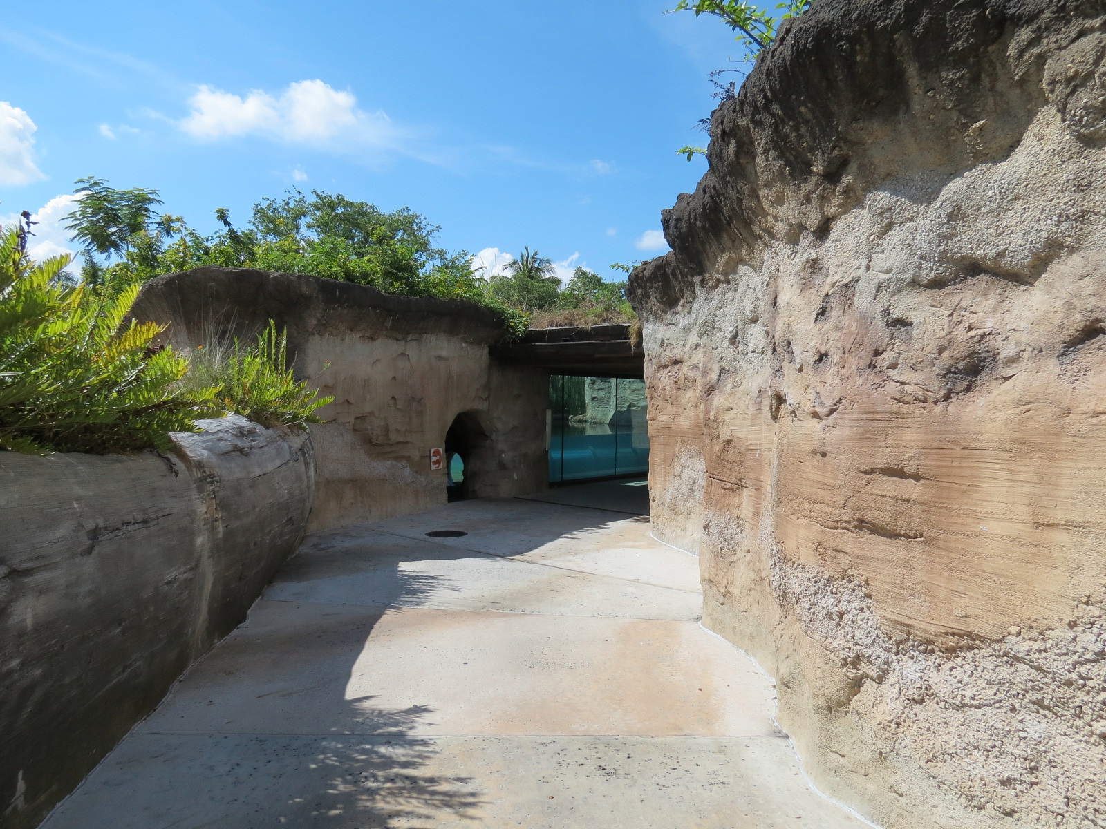 Florida: Mission Everglades - Visitor Path Near River Otter Exhibit