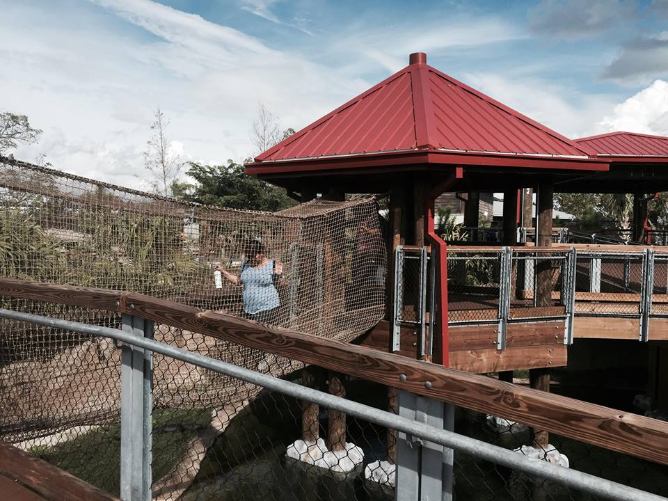 Florida: Mission Everglades