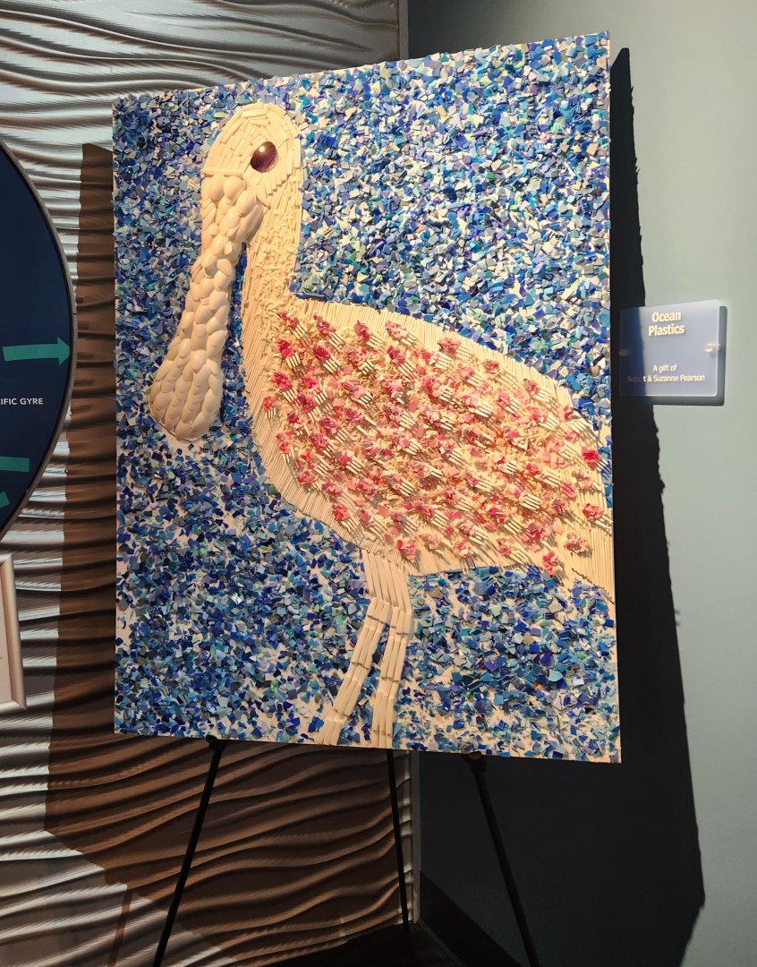 Florida Oceanographic Center - Sea plastics art