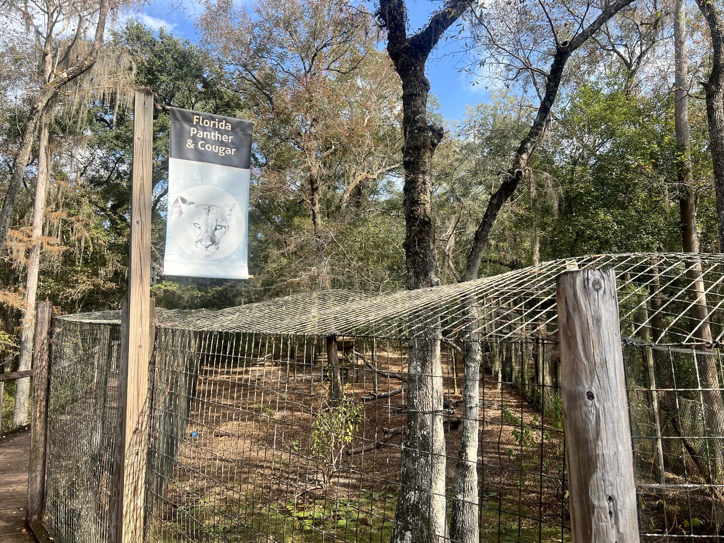 Florida Panther / Cougar Exhibits