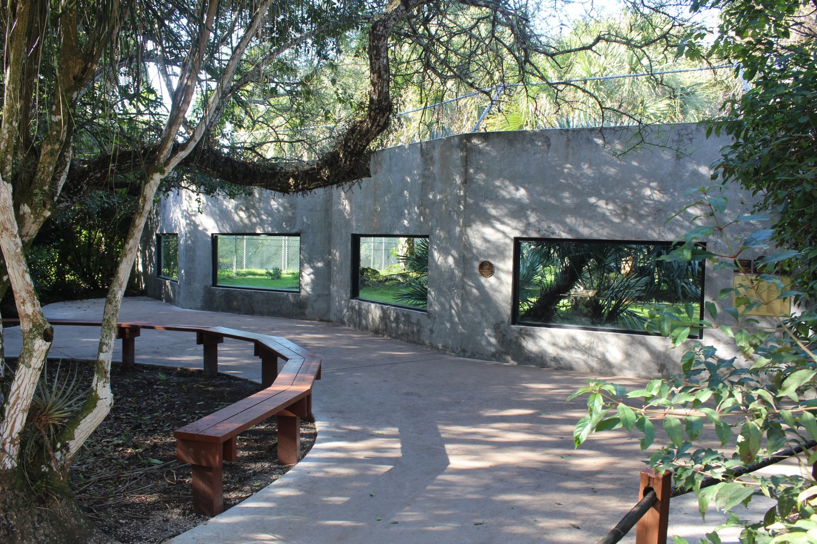 Florida Panther Exhibit