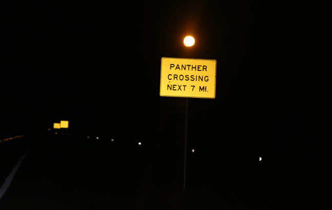 florida panther road sign