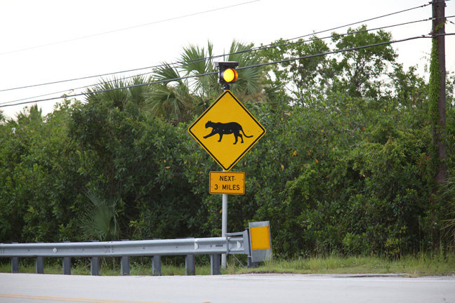 florida panther road sign