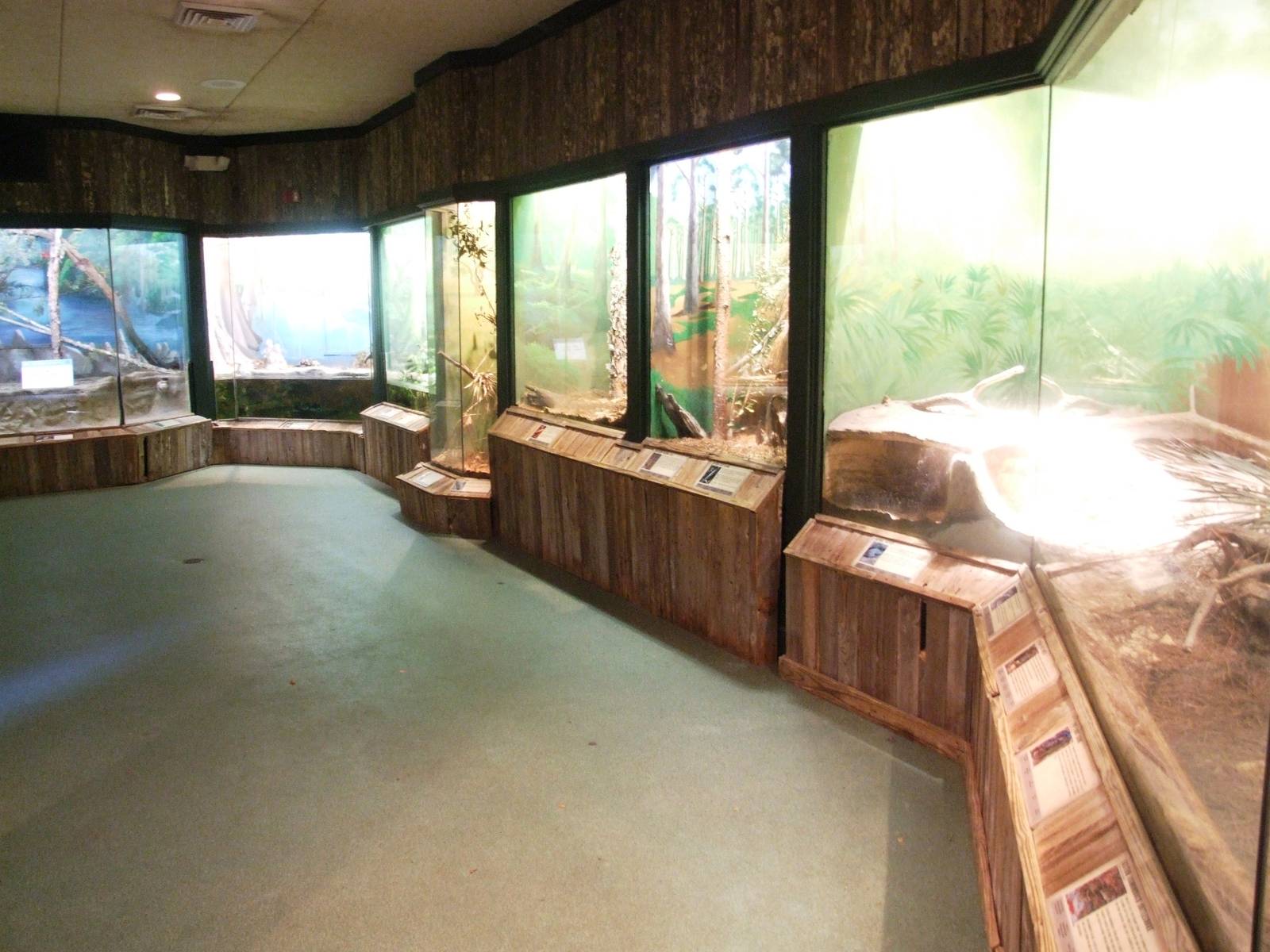 Florida Reptile and Amphibian Displays at Jacksonville, 10/10/13