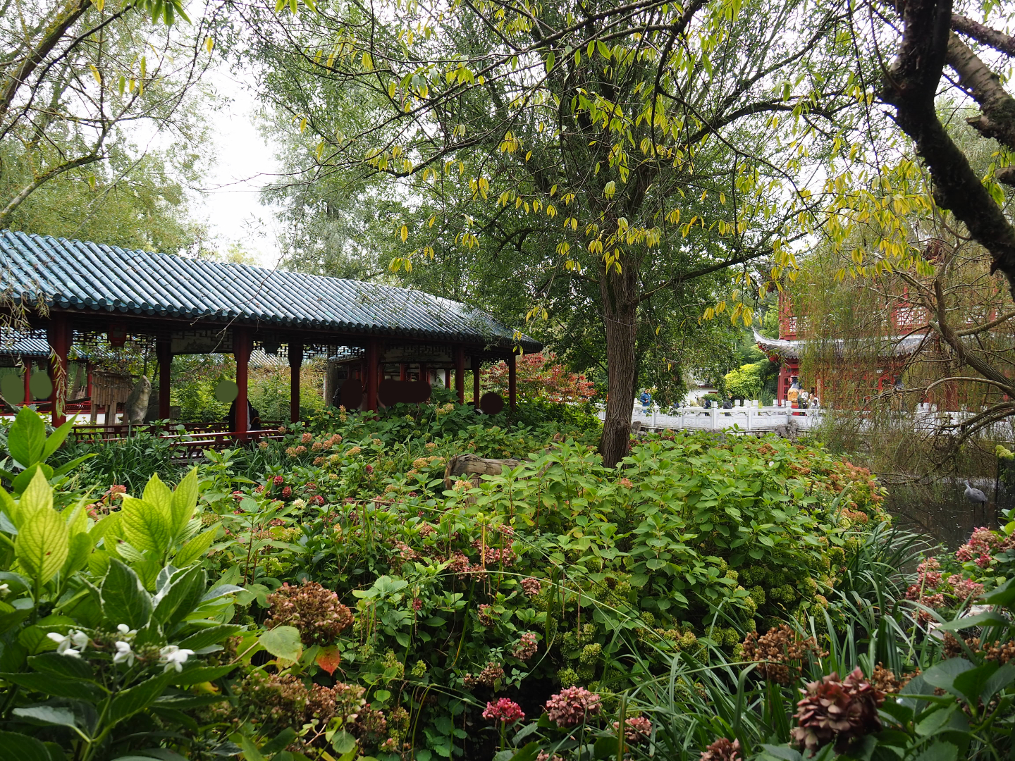 Florida Sandhill crane exhibit, 2019-10-05