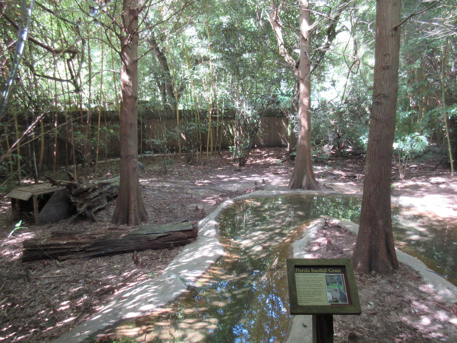 Florida Sandhill Crane Exhibit