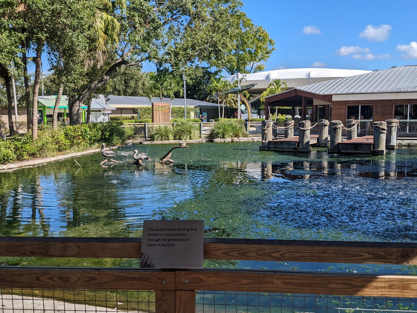 Florida wading birds