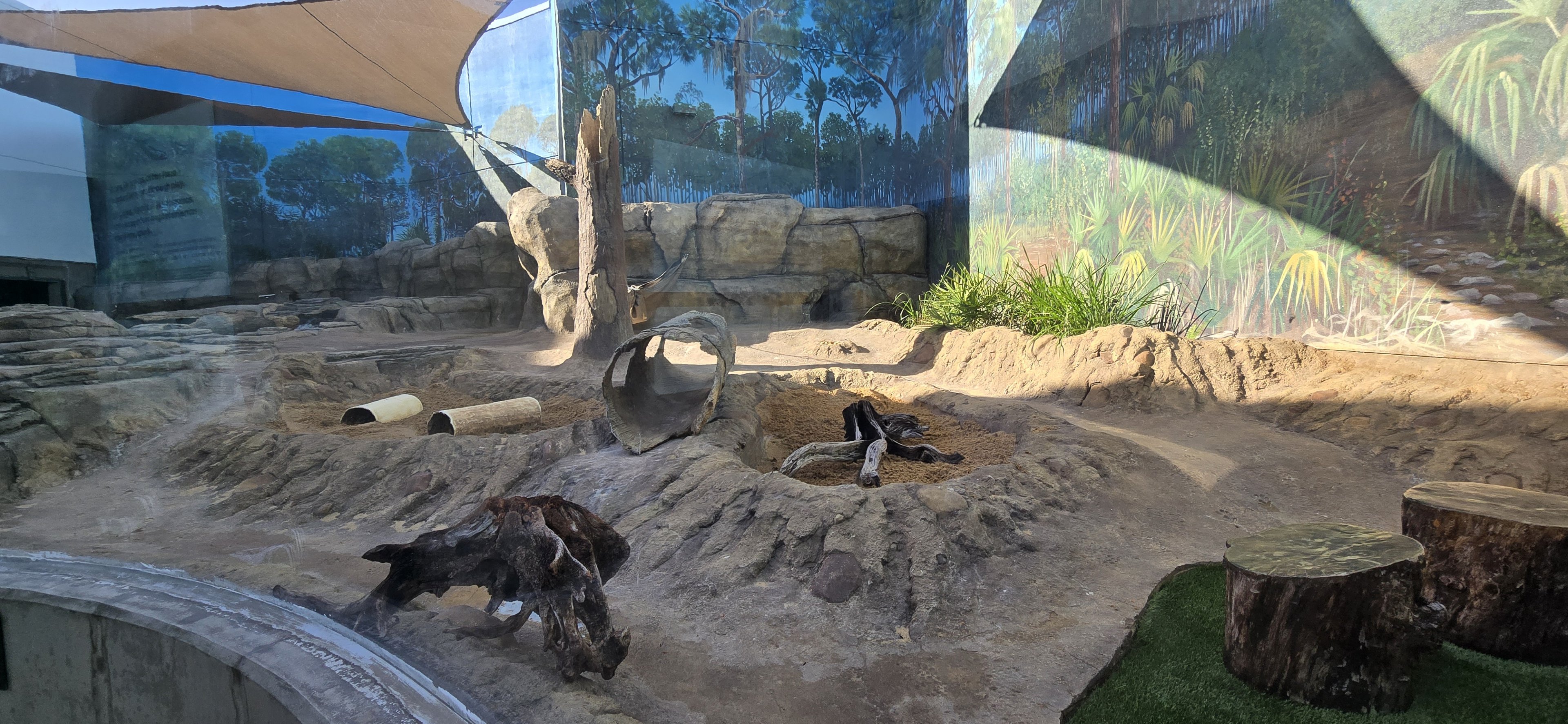 Florida Waters - river otter