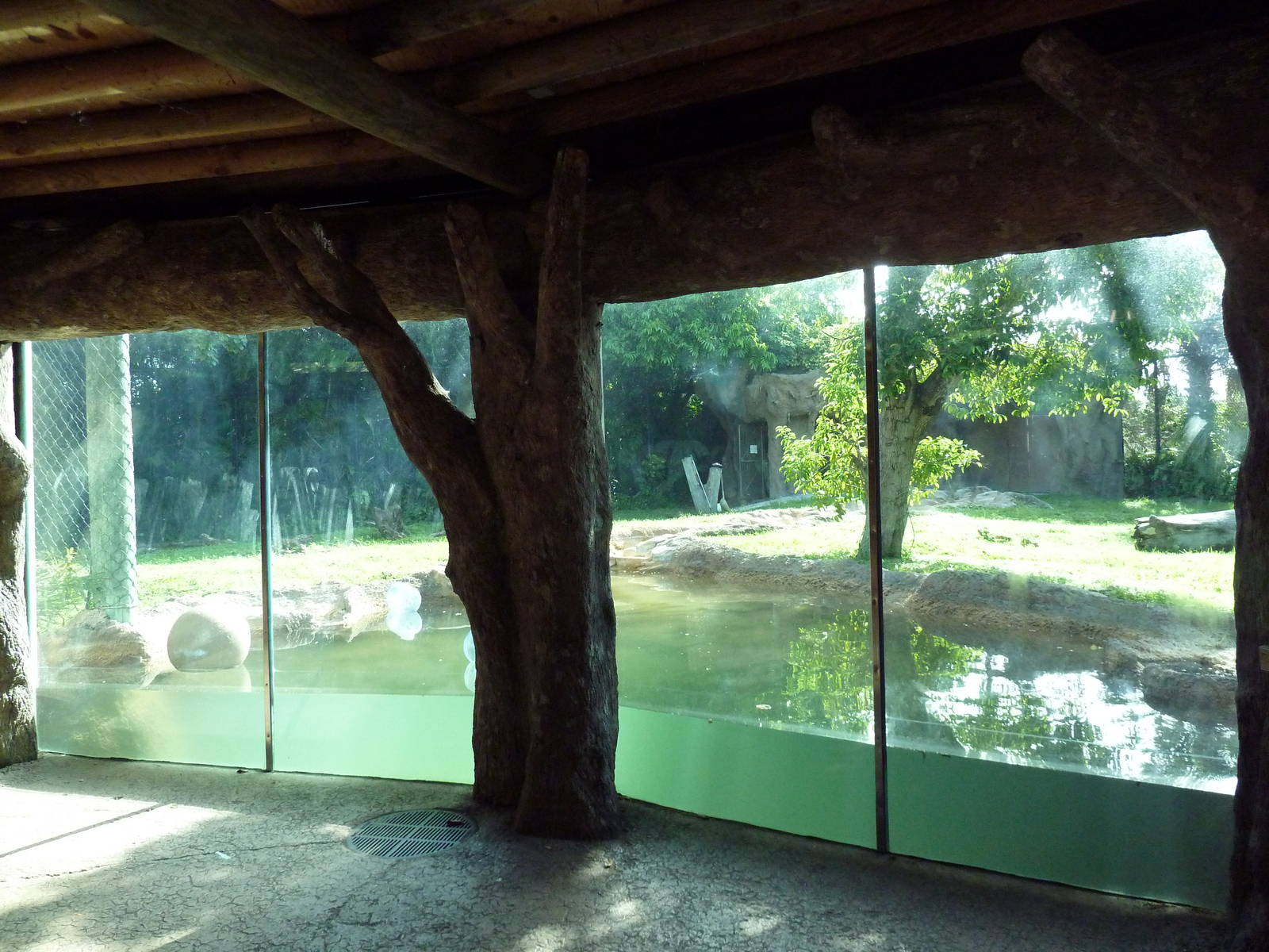 Florida Wetlands - Black Bear Exhibit