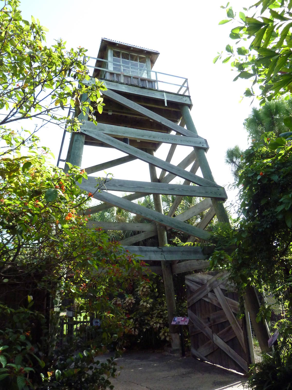 Florida Wetlands - Fire Tower