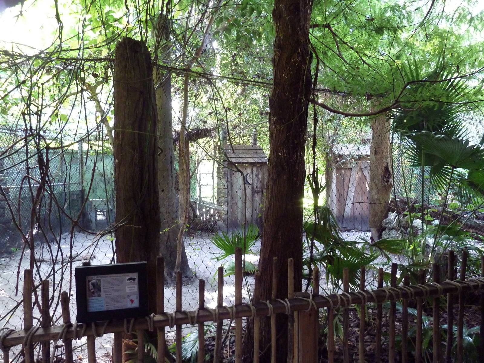 Florida Wetlands - Giant Anteater Exhibit