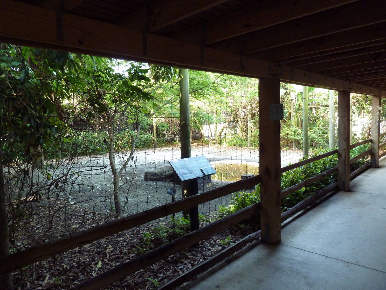 Florida Wetlands - Mixed-Species Exhibit (4 Species)