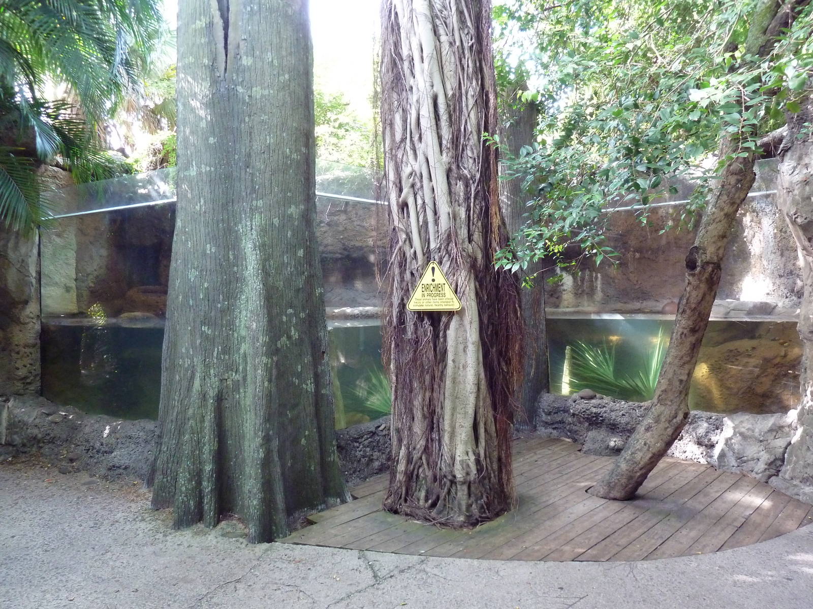 Florida Wetlands - River Otter Exhibit
