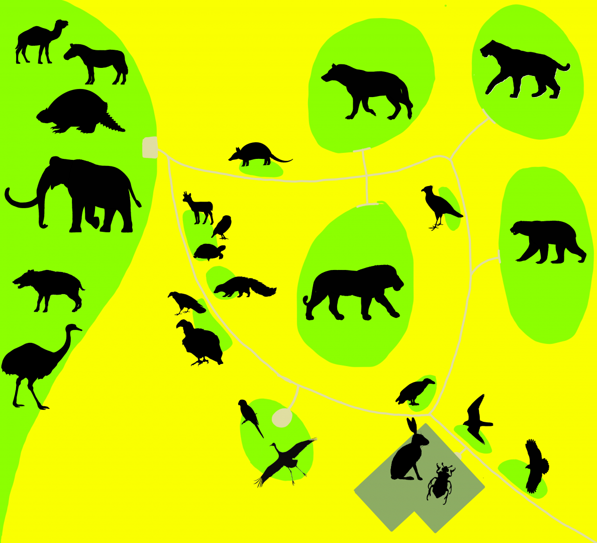 Florida Wildlife Conservation Center - Grassland