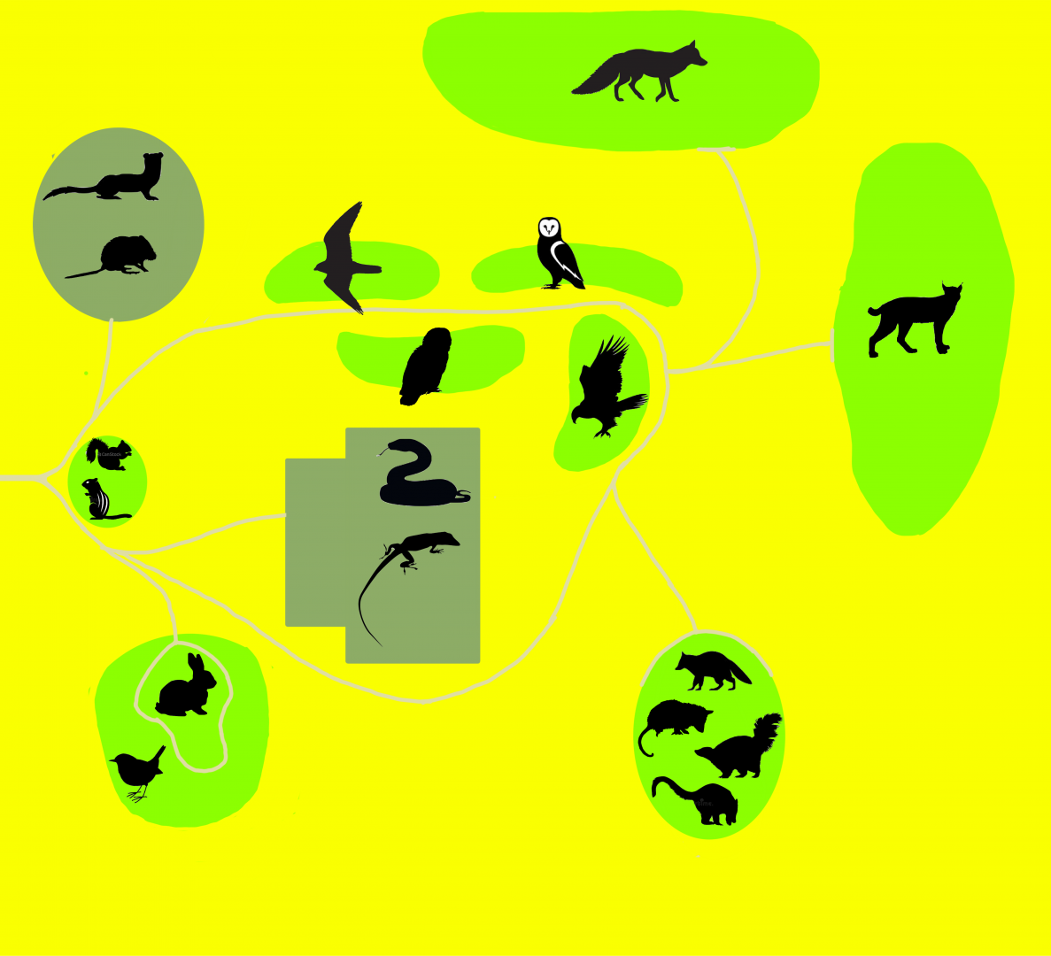 Florida Wildlife Conservation Center - Urban Area