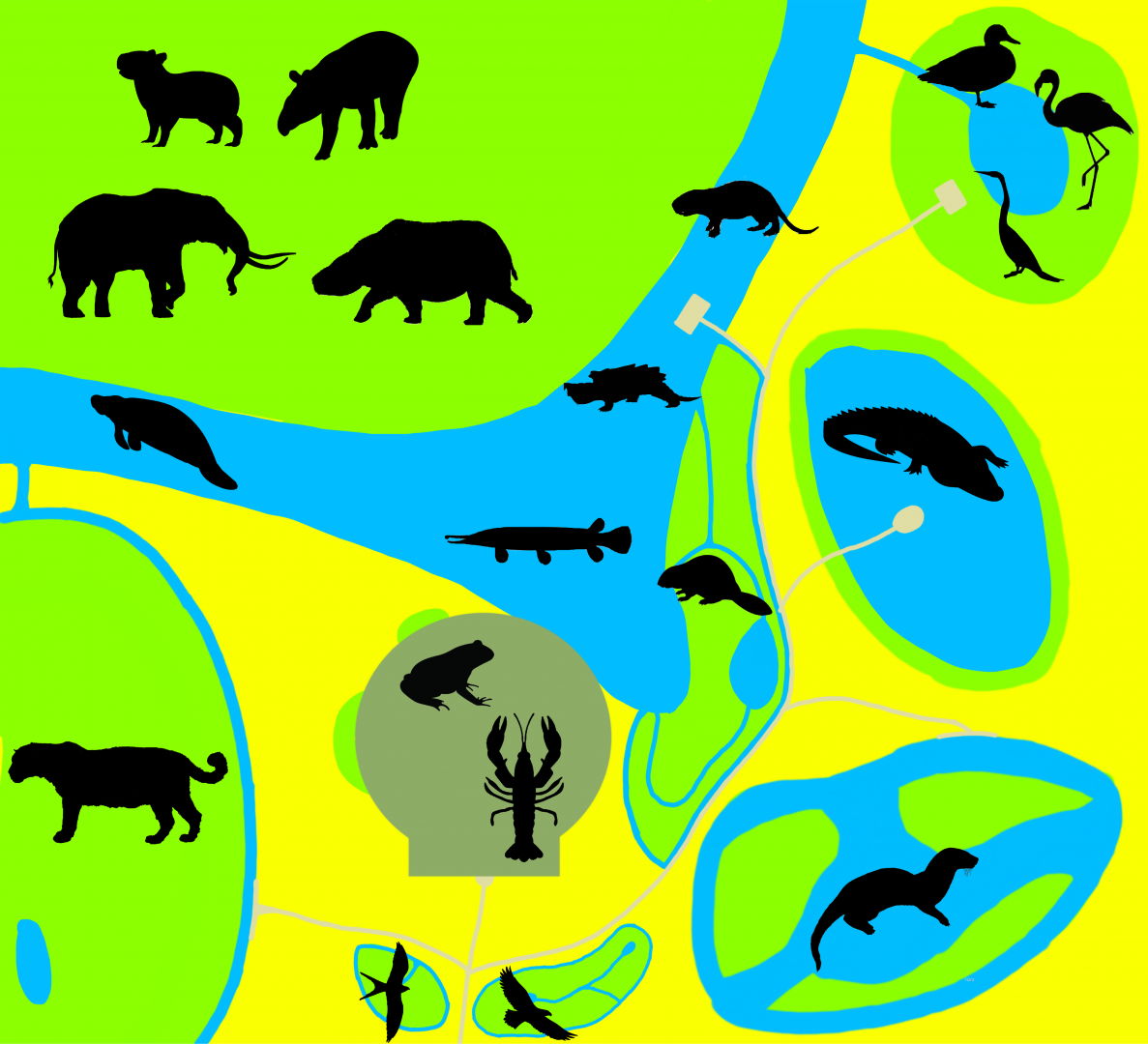 Florida Wildlife Conservation Center - Wetlands