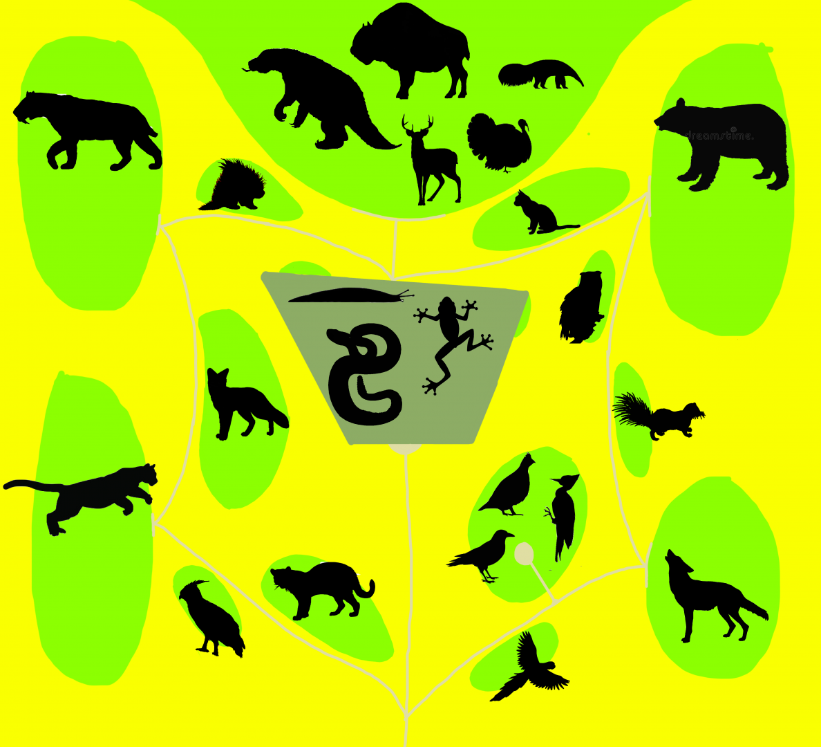 Florida Wildlife Conservation Center - Woodlands