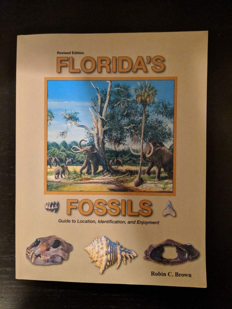 Florida's Fossils; Guide to Location, Identification, and Enjoyment