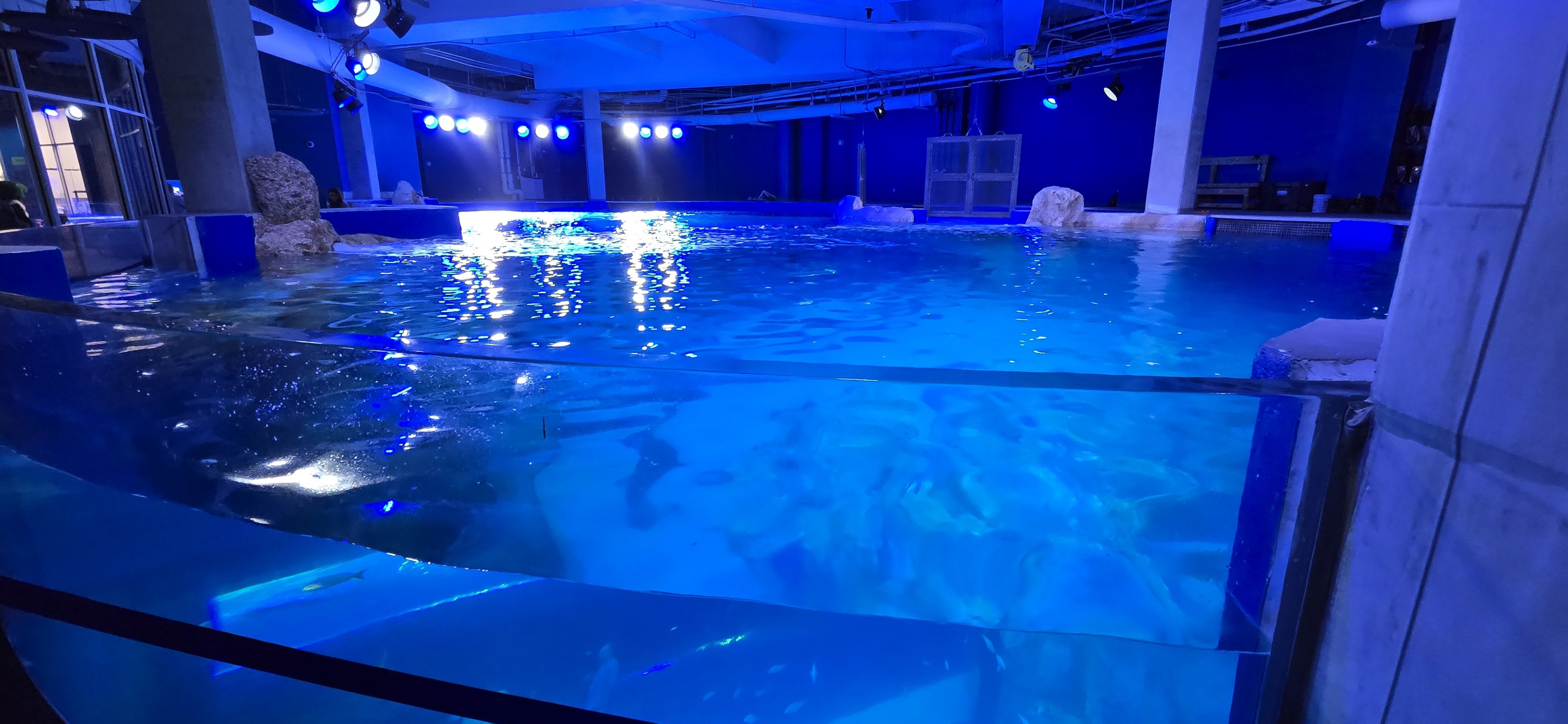 Florida's Gulf Coast - Gulf Tank overlook