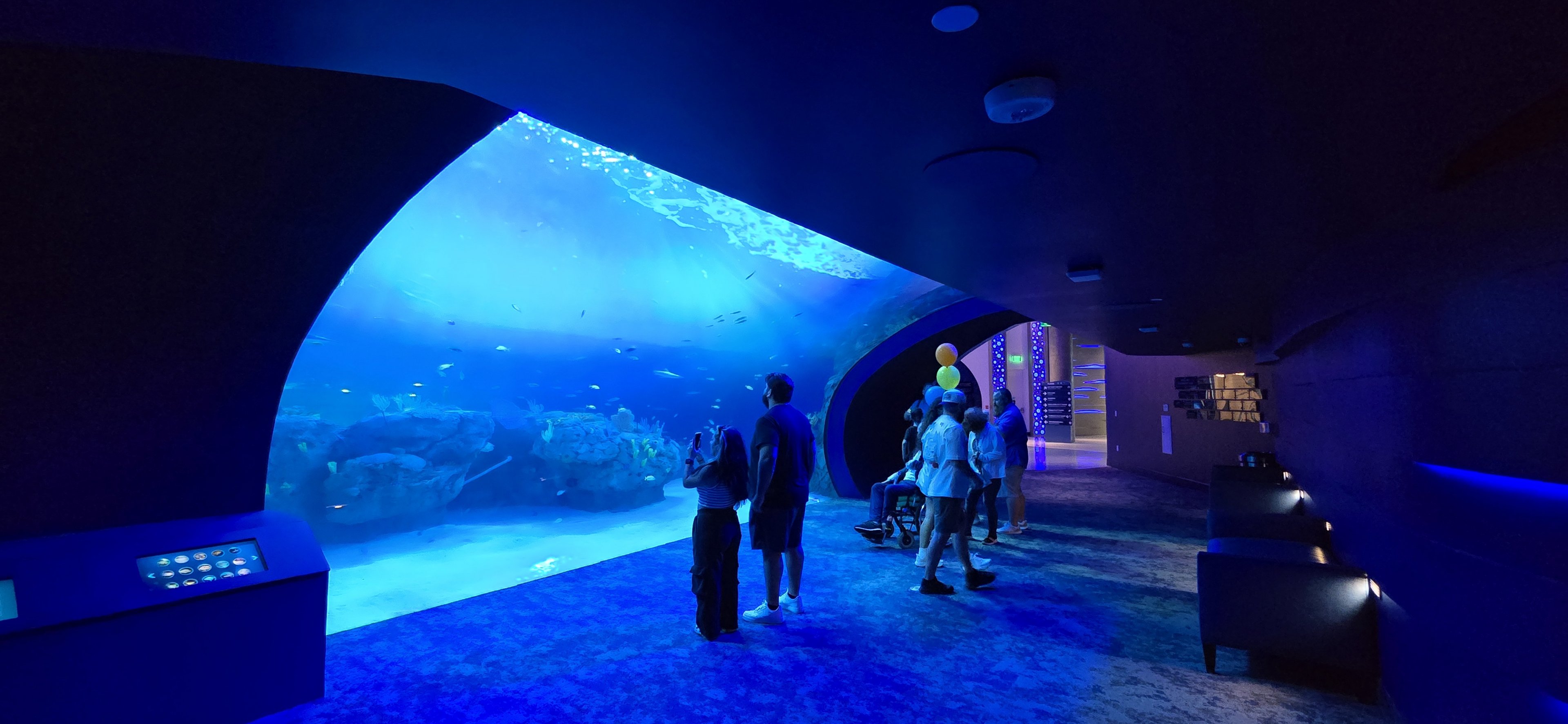 Florida's Gulf Coast - Gulf Tank