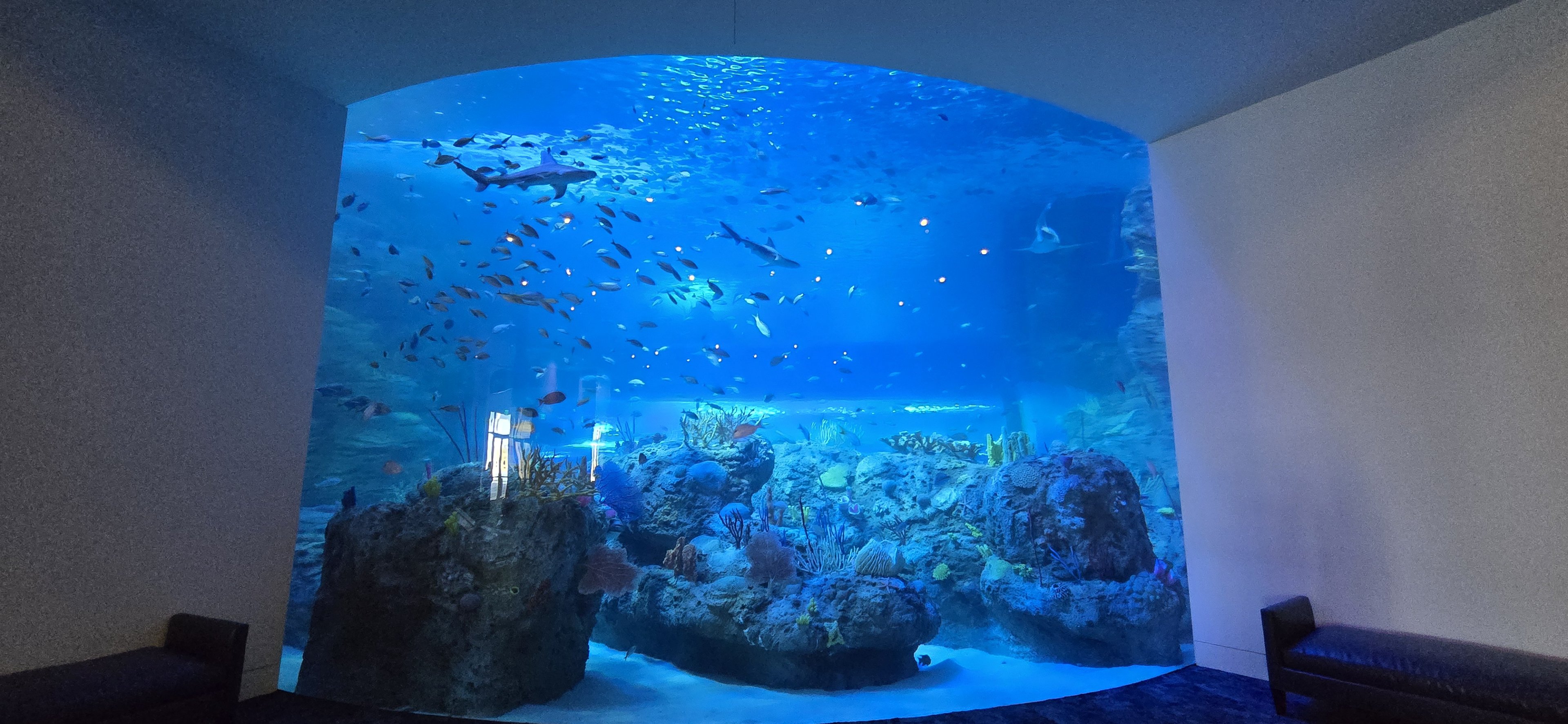 Florida's Gulf Coast - large window