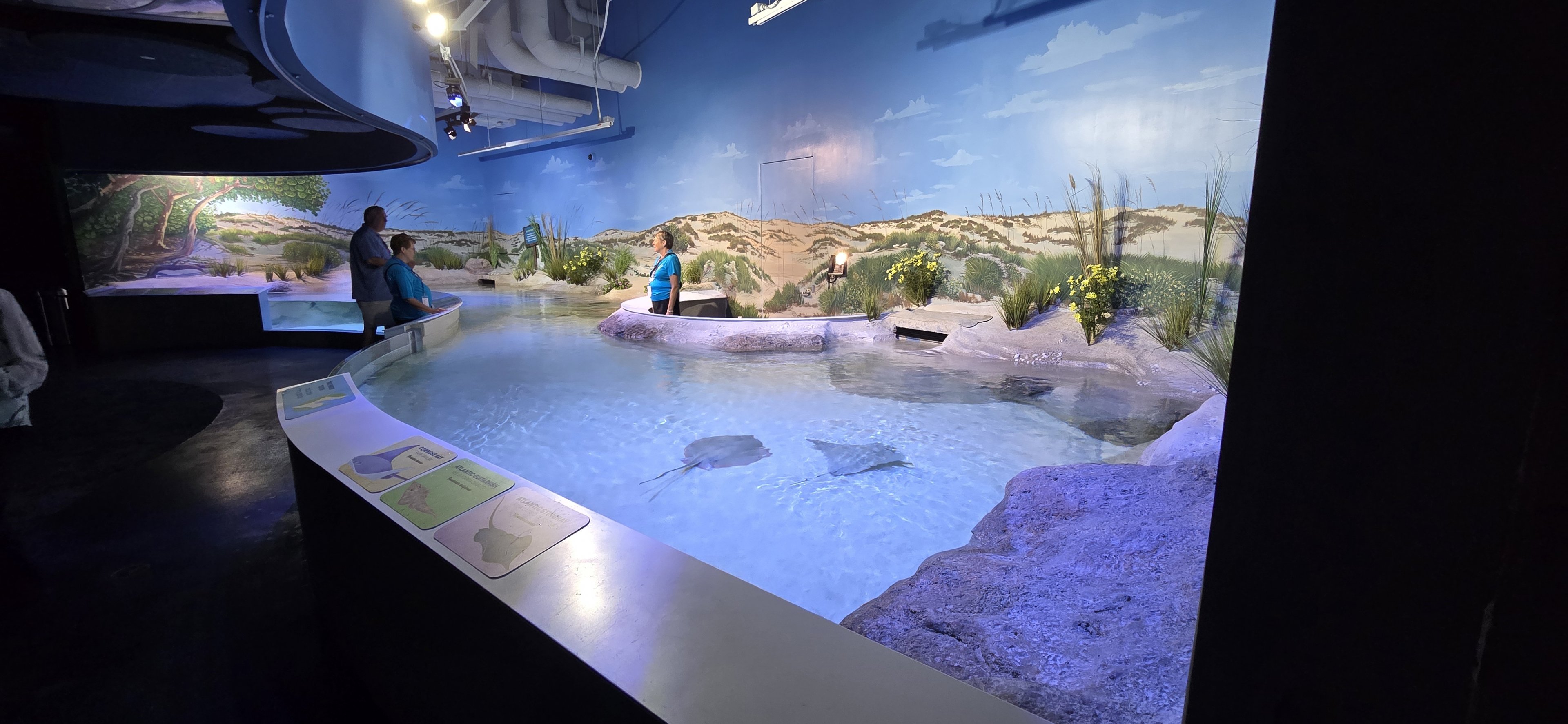 Florida's Gulf Coast - Ray touch tank