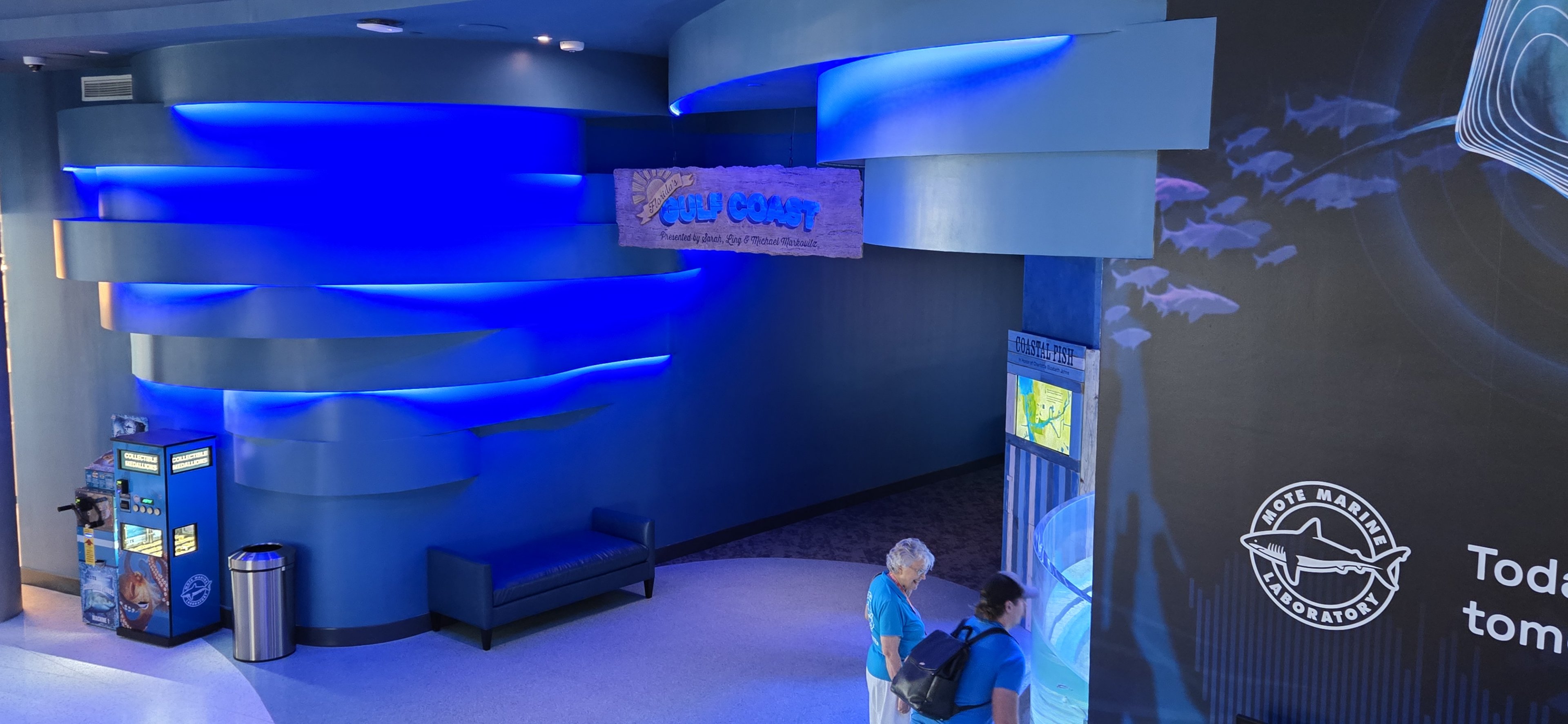 Florida's Gulf Coast