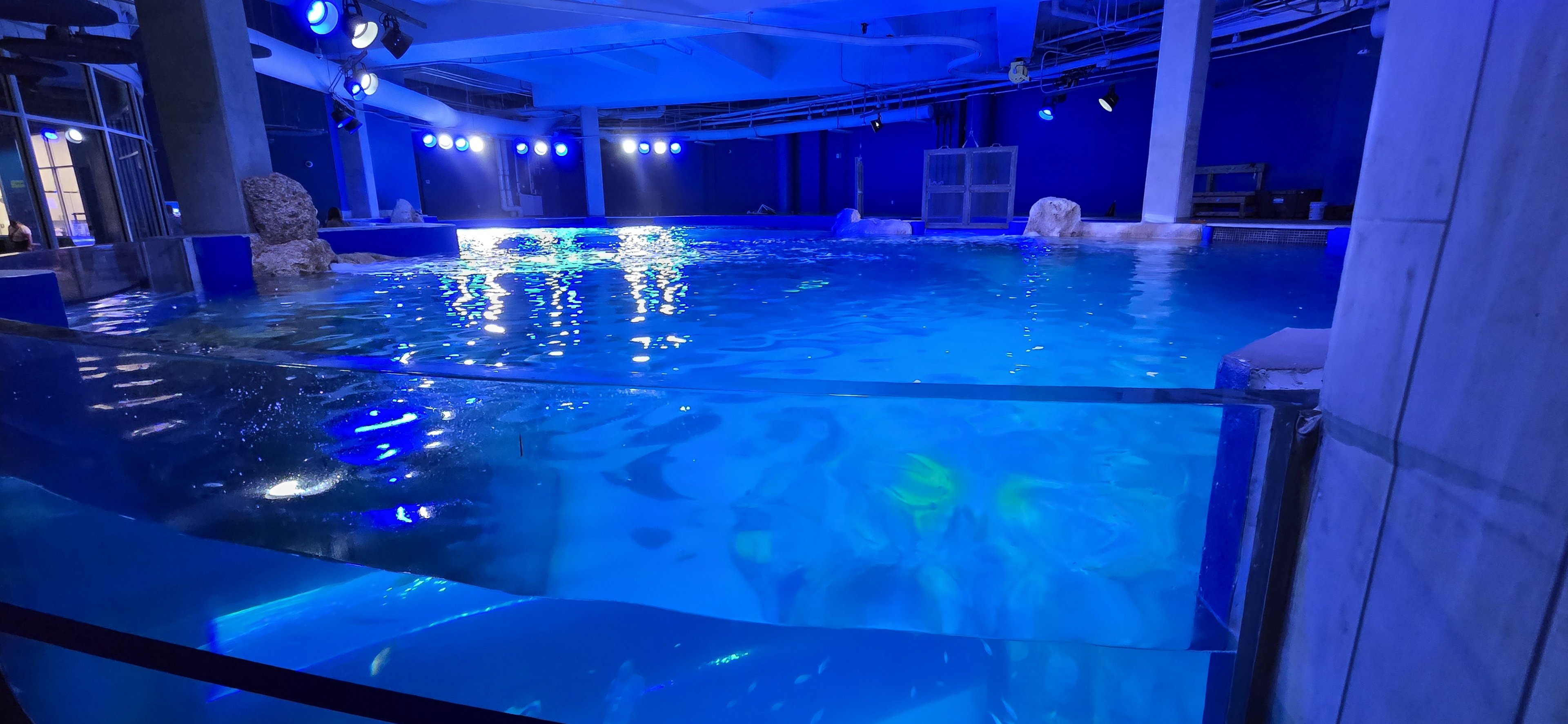 Florida's Gulf Tank - overlook