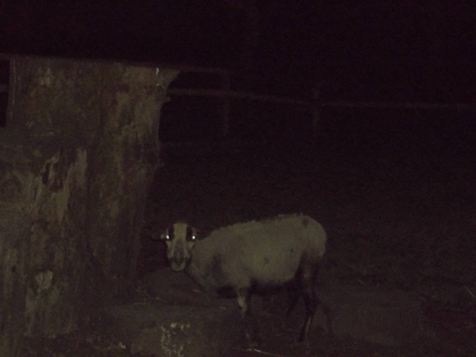 Florrie, 5th December 2014