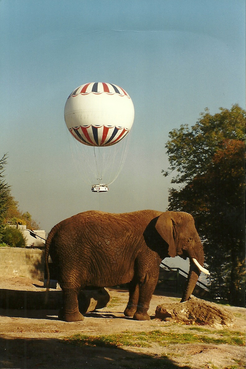 Flossie 31st October 1997