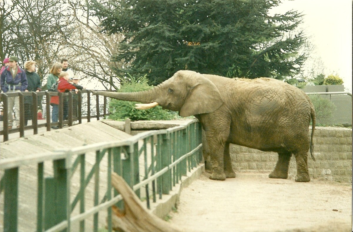 Flossie 5th April 1997