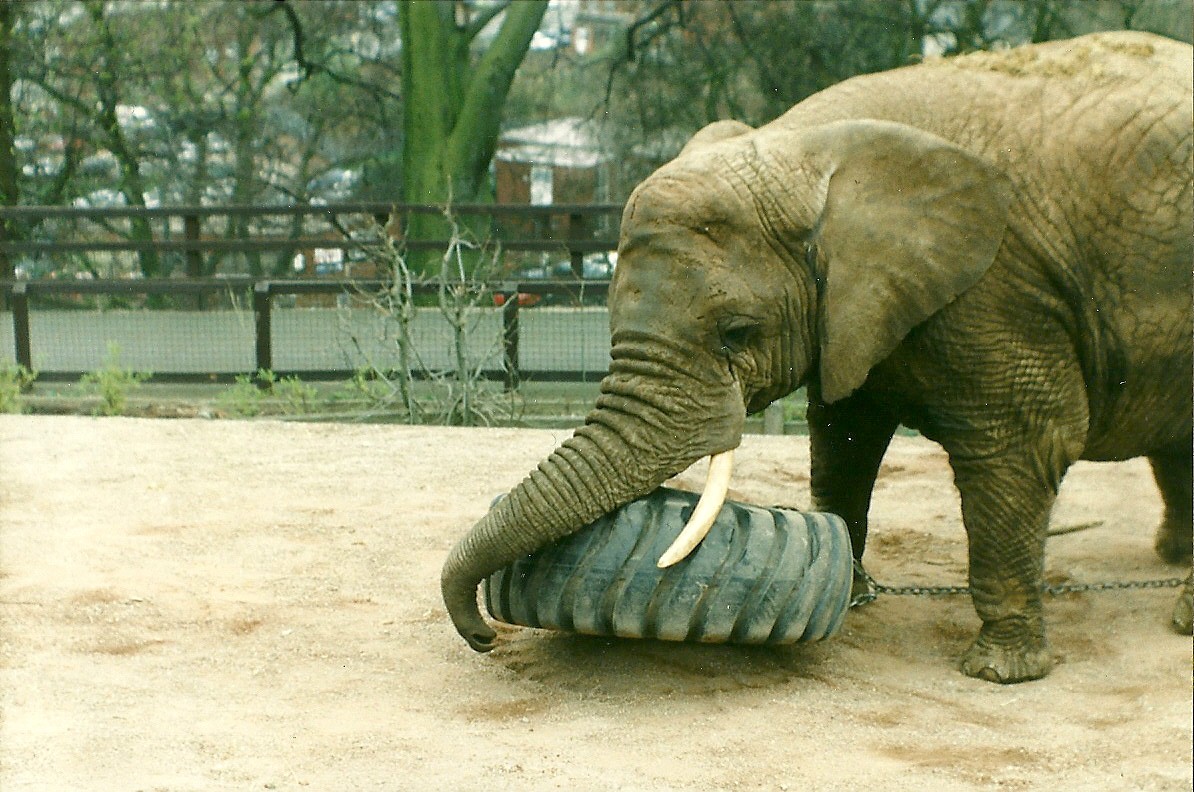 Flossie 5th April 1997