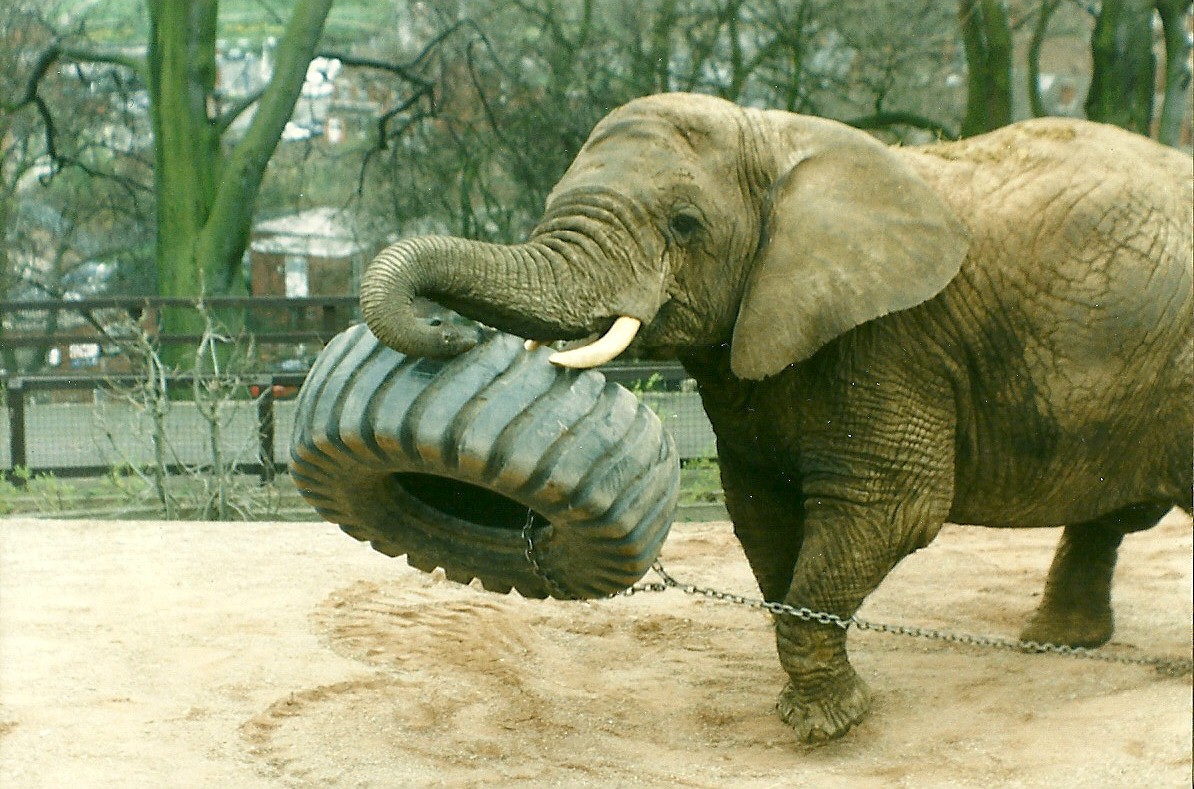 Flossie 5th April 1997