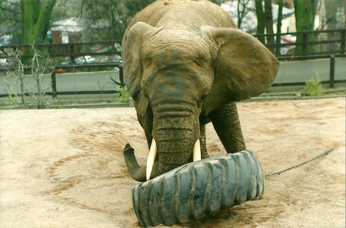 Flossie 5th April 1997