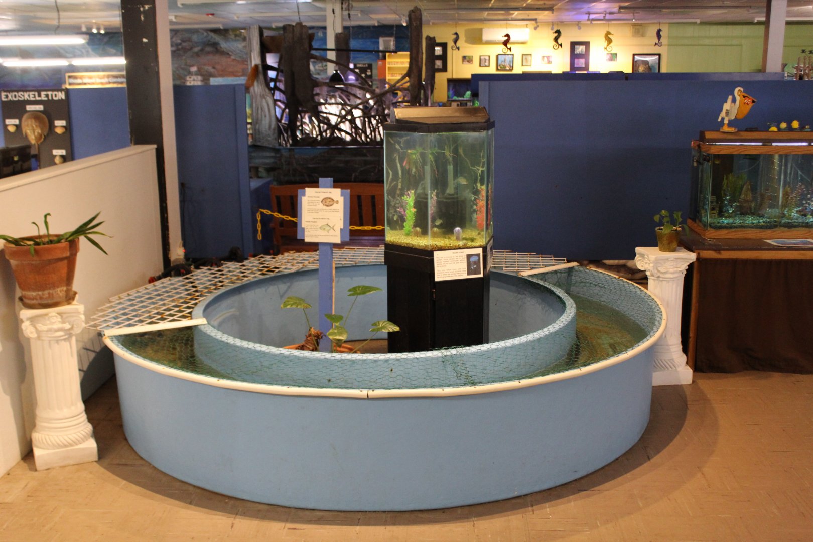 Flounder, Pompano, & Mojarra Enclosures