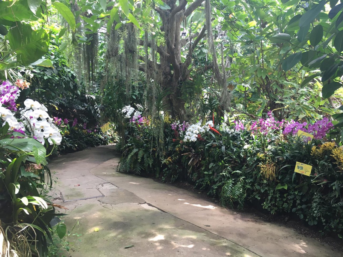 Flower dome- Nagasaki Bio Park