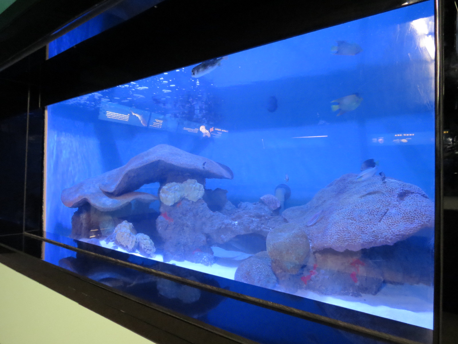 Flower Garden Banks Exhibit