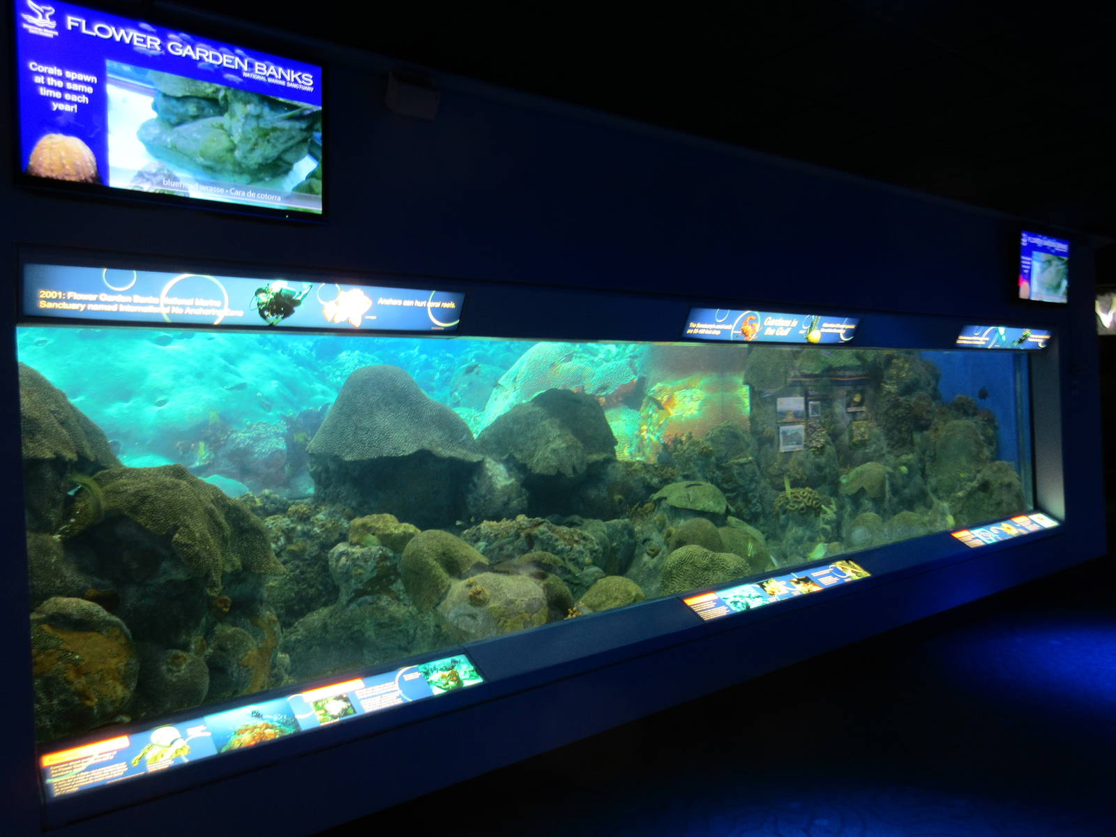 Flower Garden Exhibit