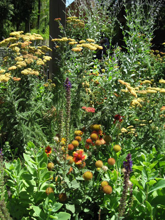 flowers near food stand