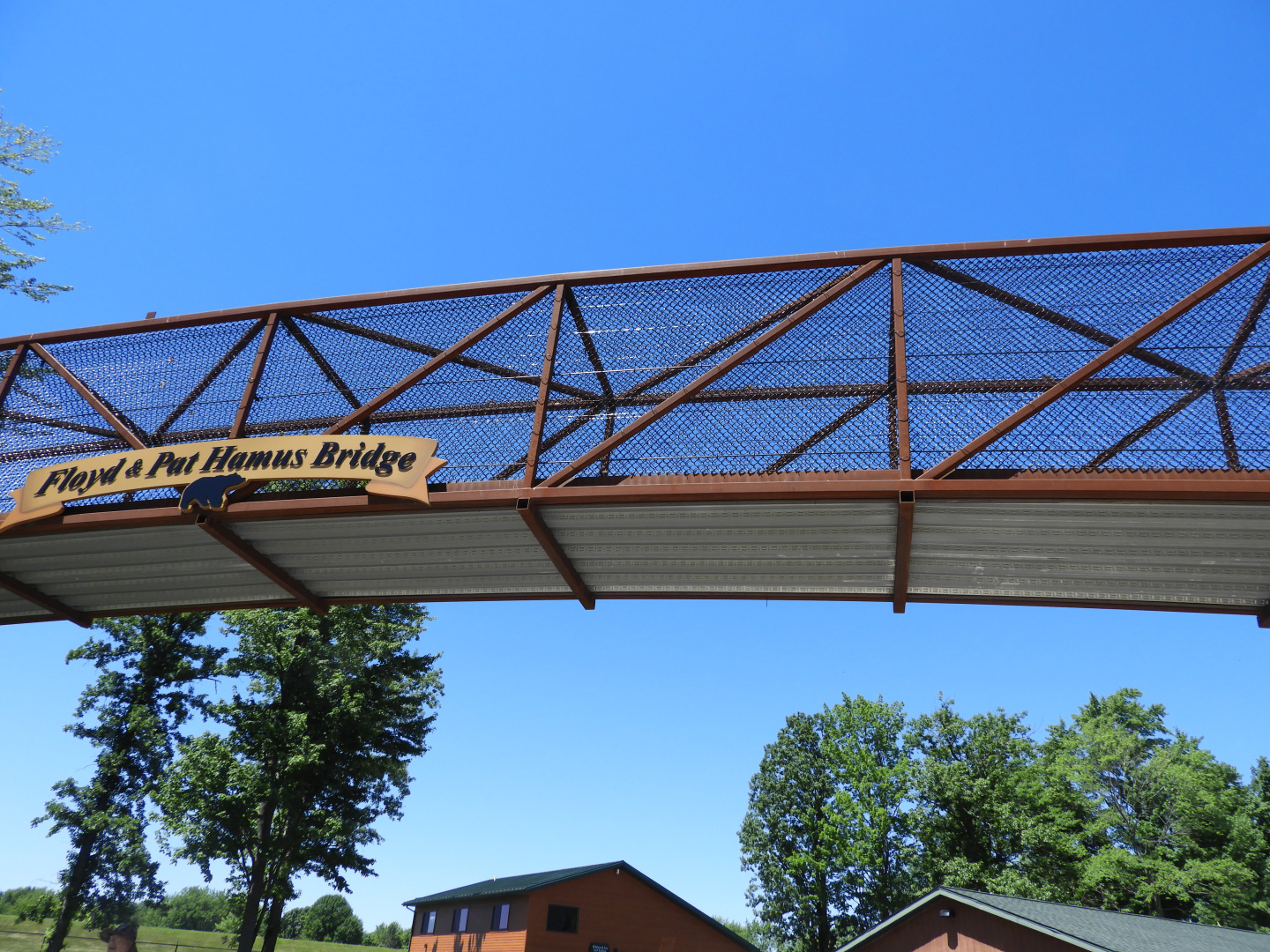 Floyd & Pat Hamus Bear Bridge - JP Adler Kodiak Bear Exhibit (New in 2015) - Wildwood Zoo