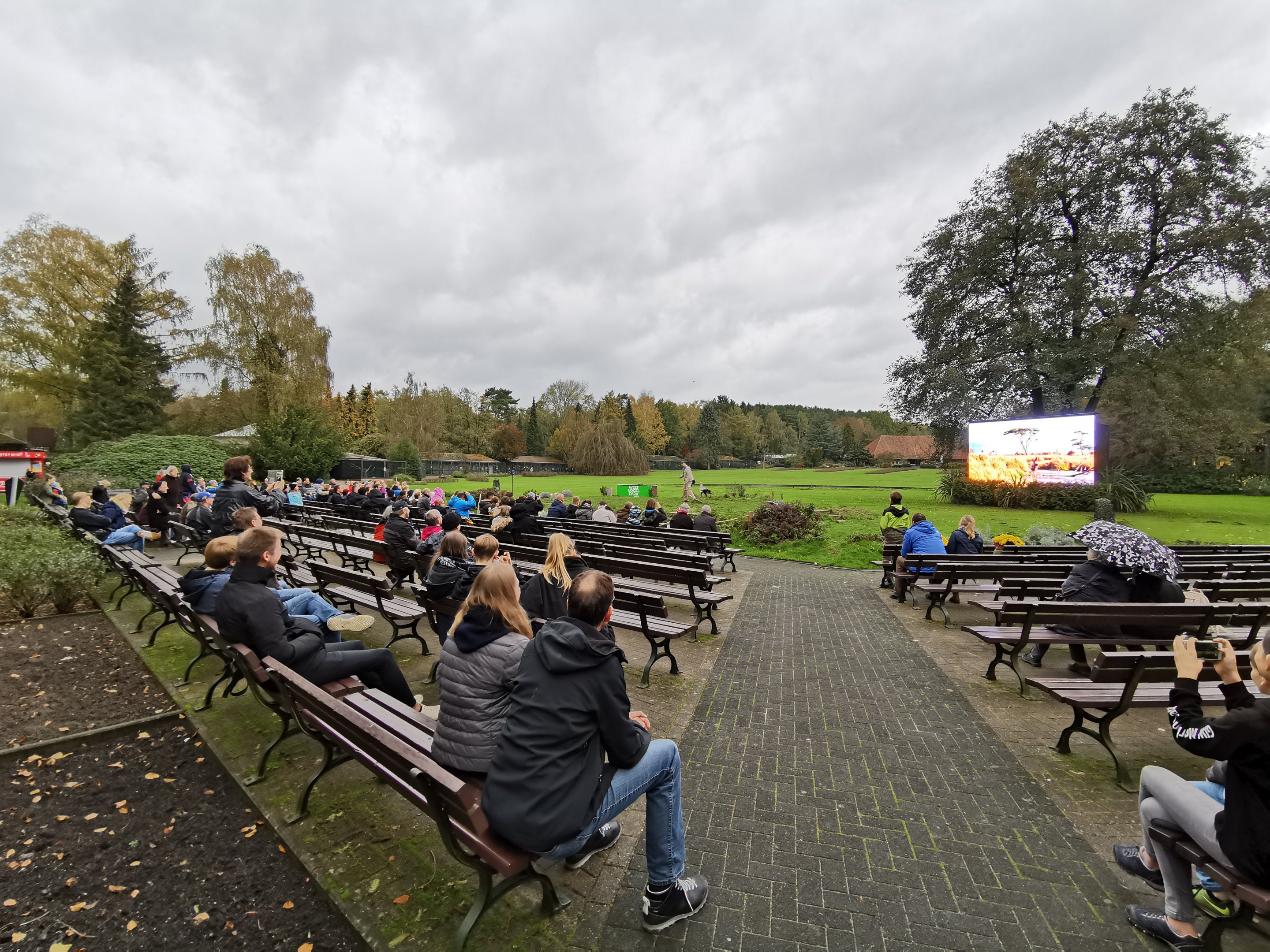 Flugshow (Nov 2nd, 2019)