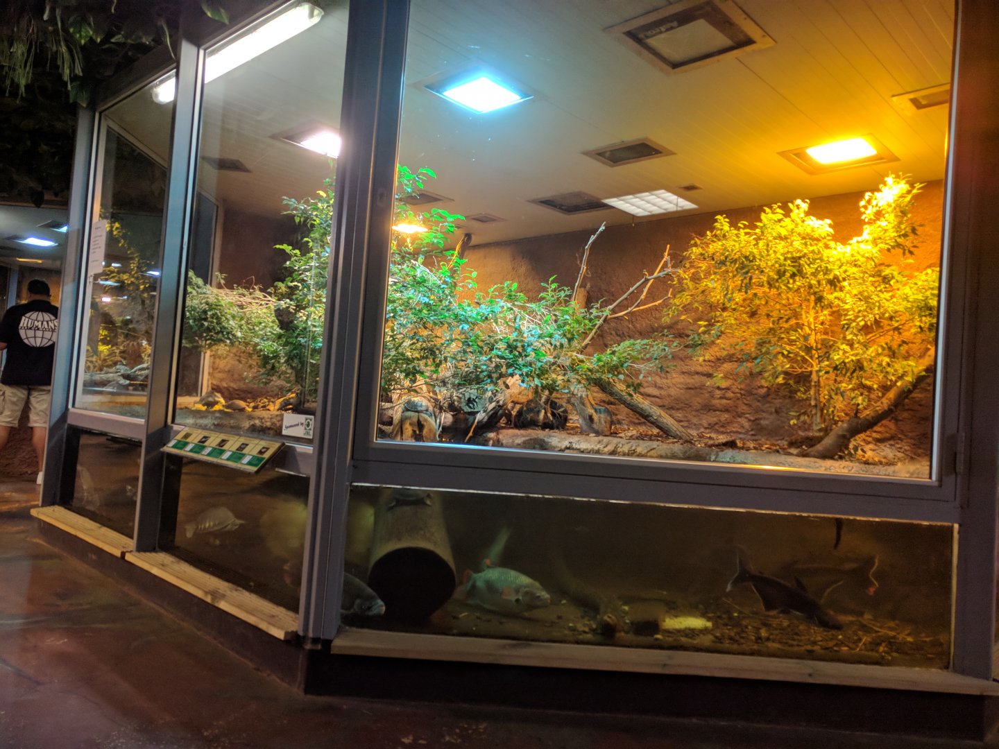 Fly River Turtle Enclosure