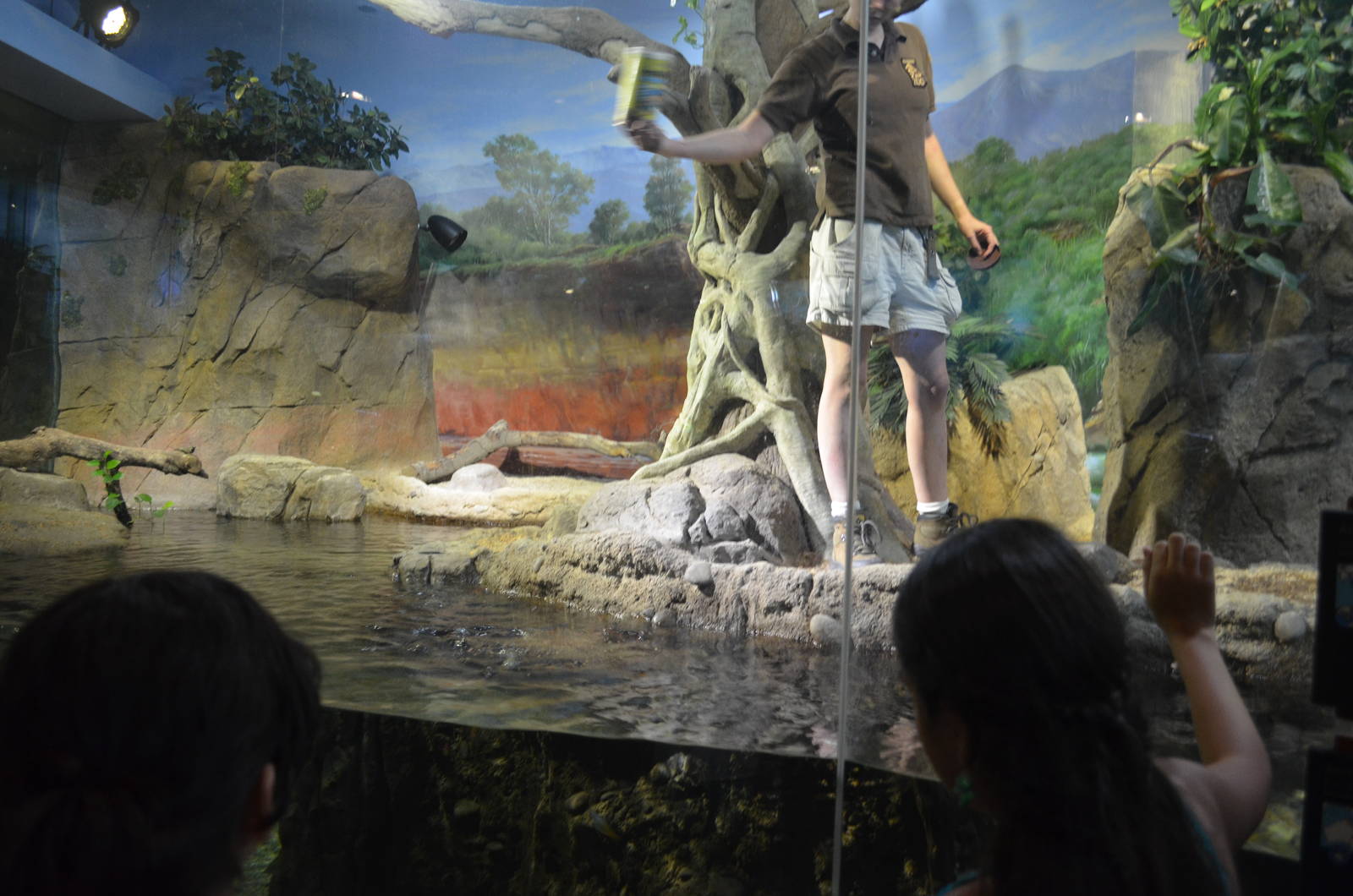 Fly River Turtle/Lungfish/Rainbow Fish Exhibit