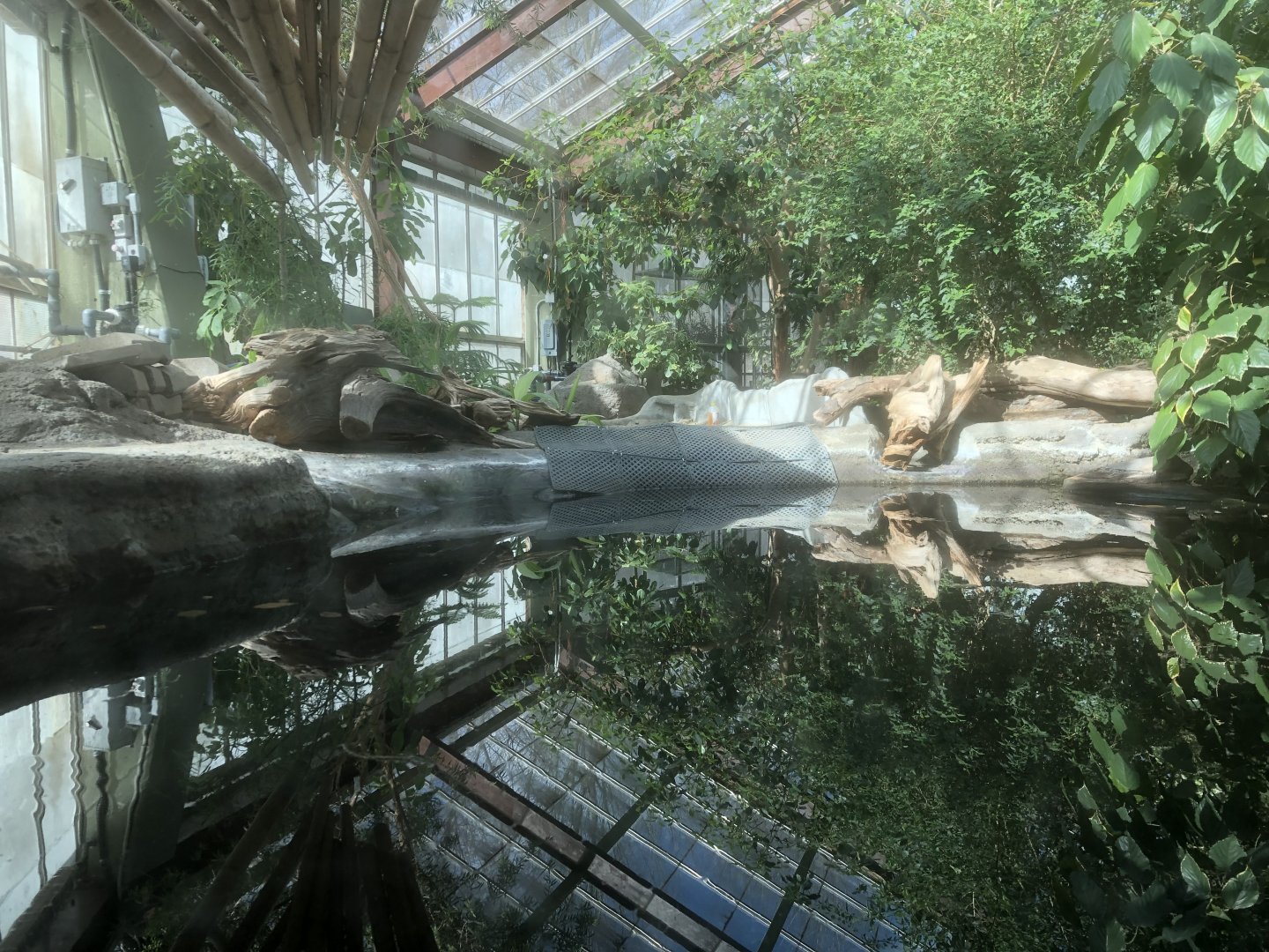 Fly River Turtle Pool - Beach Extension