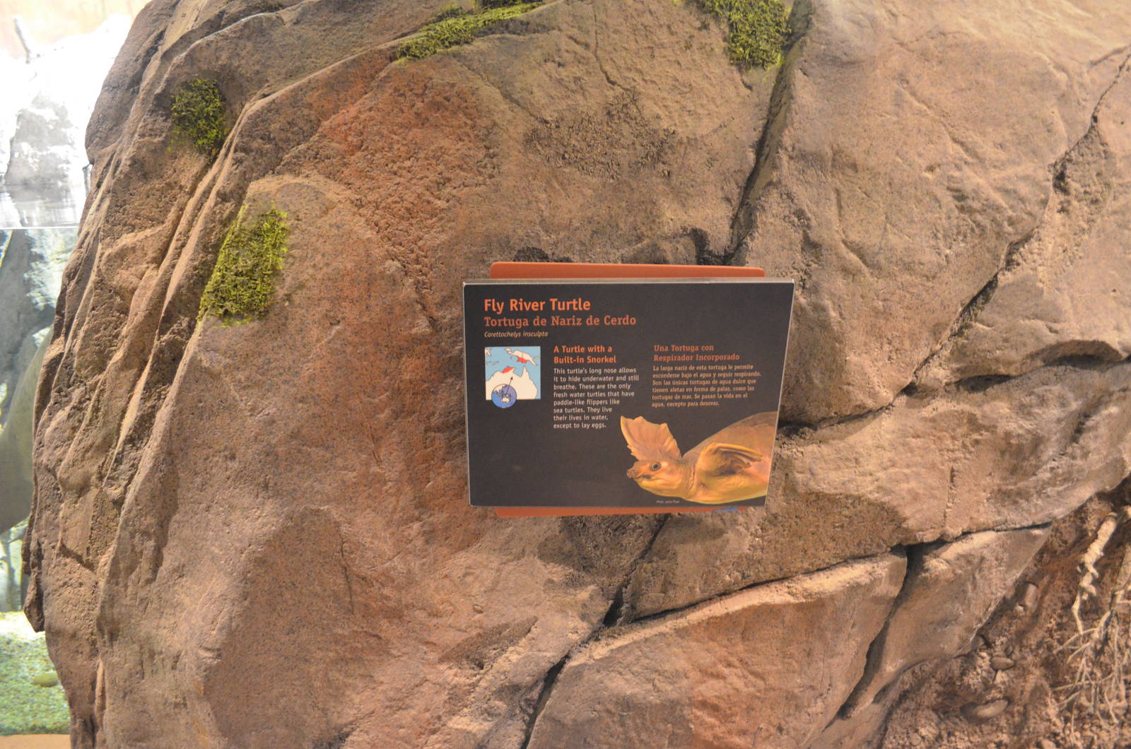 FLY RIVER TURTLE SIGNAGE