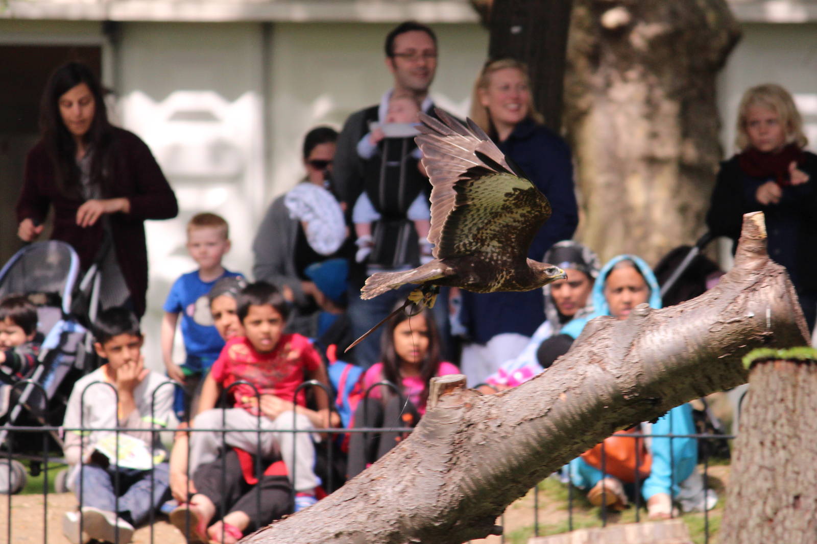 Flying display, June 2013