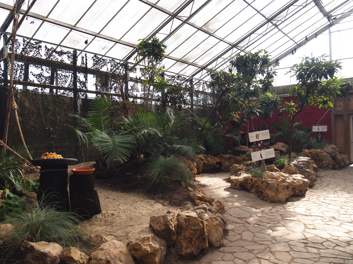 Flying fox and squirrel walk-through greenhouse, 2021-09-03